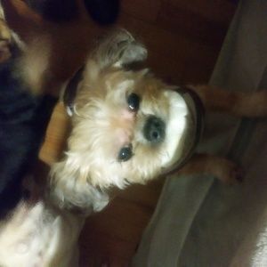 Meet your Posher, Anna